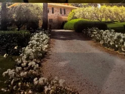 Aziendavitivinicola e agriturismo in vendita