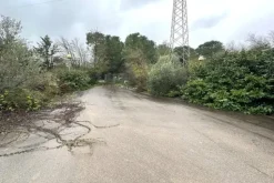 #2638341 Bar-tavola calda con area impianti sportivi