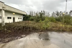 #2638341 Bar-tavola calda con area impianti sportivi