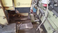 17#9601 Bedanatrice Masterwood