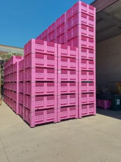 6#8586 Bins for fruit and vegetables