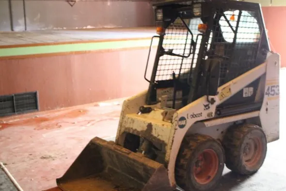 7#5608 Bobcat