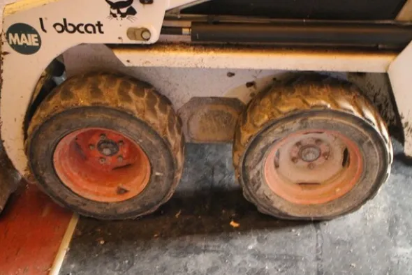 7#5608 Bobcat