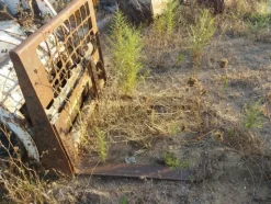 18#7937 Bobcat