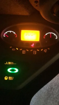 BOBCATS100