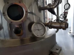 22#3260 Bolla di concentrazione Bertuzzi
