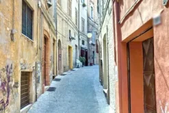 #2515116 Bottega a vetrina piano terra in centro storico