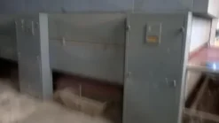 7#1649 Cabina Spruzzo Carlessi