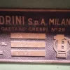 1#8399 Calandra Boldrini