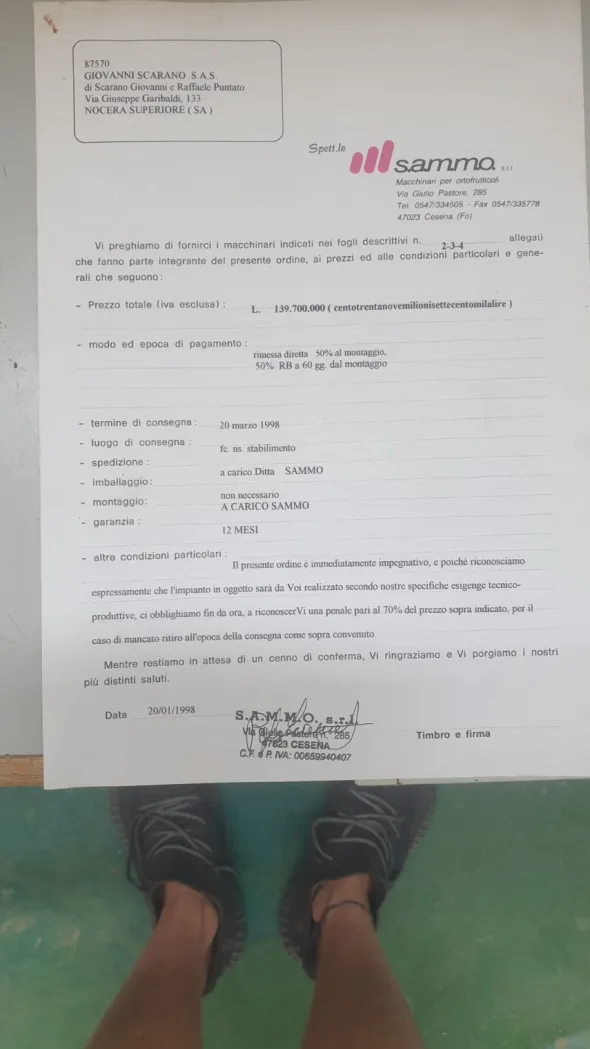 Calibratrice per pesche e ogni tipologia di agrume