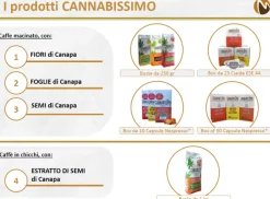 Cannabissimo - Il marchio di Caffè alla canapa