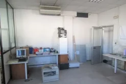 #6913 Capannone artigianale con adiacente area edificabile