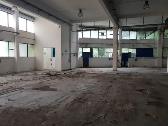 #10277 Capannone artigianale con area pertinenziale
