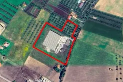 #2518002 Capannone artigianale con piazzale e uliveto
