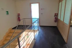 #14752 Capannone artigianale con sala espositiva