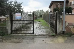 #14735 Capannone commerciale e corte privata