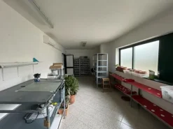 #15455 Capannone con abitazione e uffici