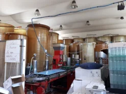 Capannone con casa annessa e ampio piazzale