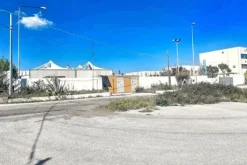 #26036 Capannone con celle frigorifere e attrezzature