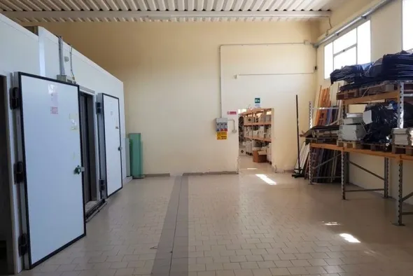 #11089 Capannone con laboratorio, negozio e zona uffici