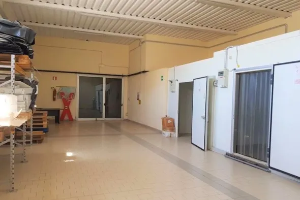 #11089 Capannone con laboratorio, negozio e zona uffici
