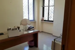 #11089 Capannone con laboratorio, negozio e zona uffici