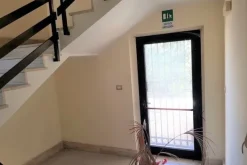 #11089 Capannone con laboratorio, negozio e zona uffici