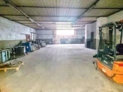 #25123 Capannone con uffici e area pertinenziale