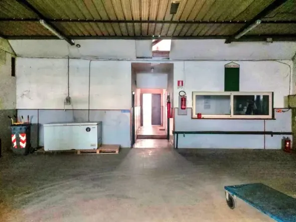#25123 Capannone con uffici e area pertinenziale
