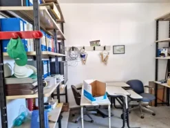 #2536610 Capannone con uffici e corte