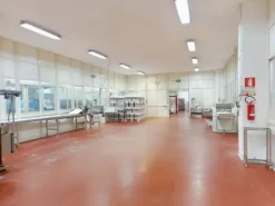 #19745 Capannone in complesso industriale
