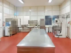 #19745 Capannone in complesso industriale