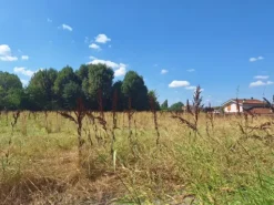 #2537115 Capannone industriale con ampia corte