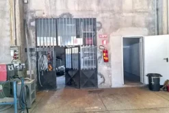 #25659 Capannone industriale con area pertinenziale