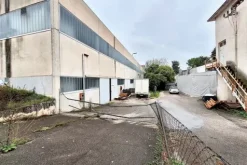 #24755 Capannone industriale con area pertinenziale