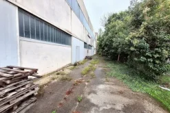 #24755 Capannone industriale con area pertinenziale