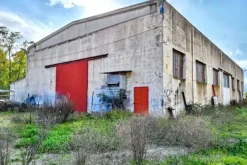 #25659 Capannone industriale con area pertinenziale