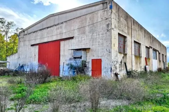 #25659 Capannone industriale con area pertinenziale