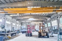 #25659 Capannone industriale con area pertinenziale