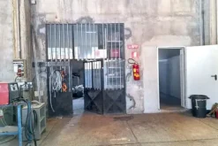 #25659 Capannone industriale con area pertinenziale