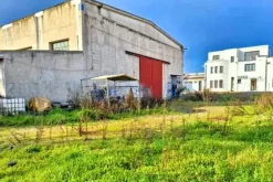 #25659 Capannone industriale con area pertinenziale