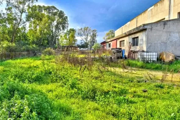 #25659 Capannone industriale con area pertinenziale