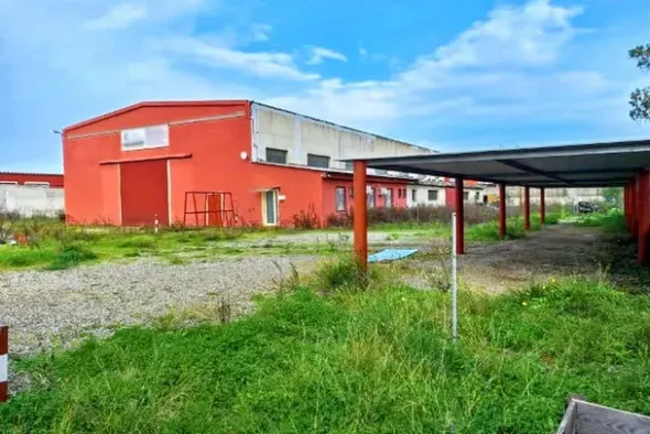 #25659 Capannone industriale con area pertinenziale