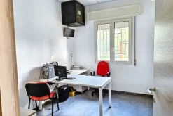 #25659 Capannone industriale con area pertinenziale