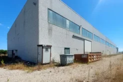 #2639679 Capannone industriale con pertinenze