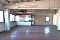 #2639302 Capannone industriale con pertinenze