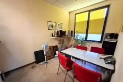 #2639302 Capannone industriale con pertinenze