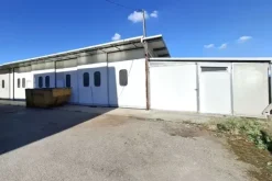#2639302 Capannone industriale con pertinenze