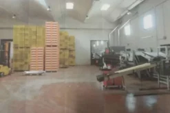 #12937 Capannone industriale con uffici e abitazione
