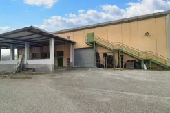 #19694 Capannone industriale con uffici e corte esterna